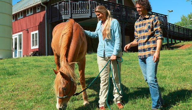 Equine Therapy at CooperRiis