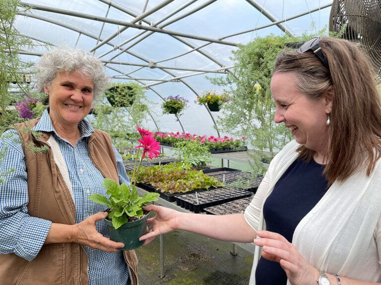 person giving potted flower to another person