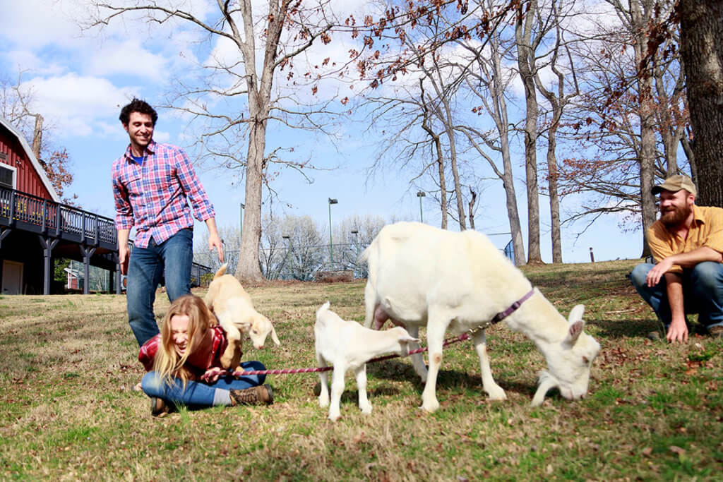 baby goat jumping over woman's shoulder