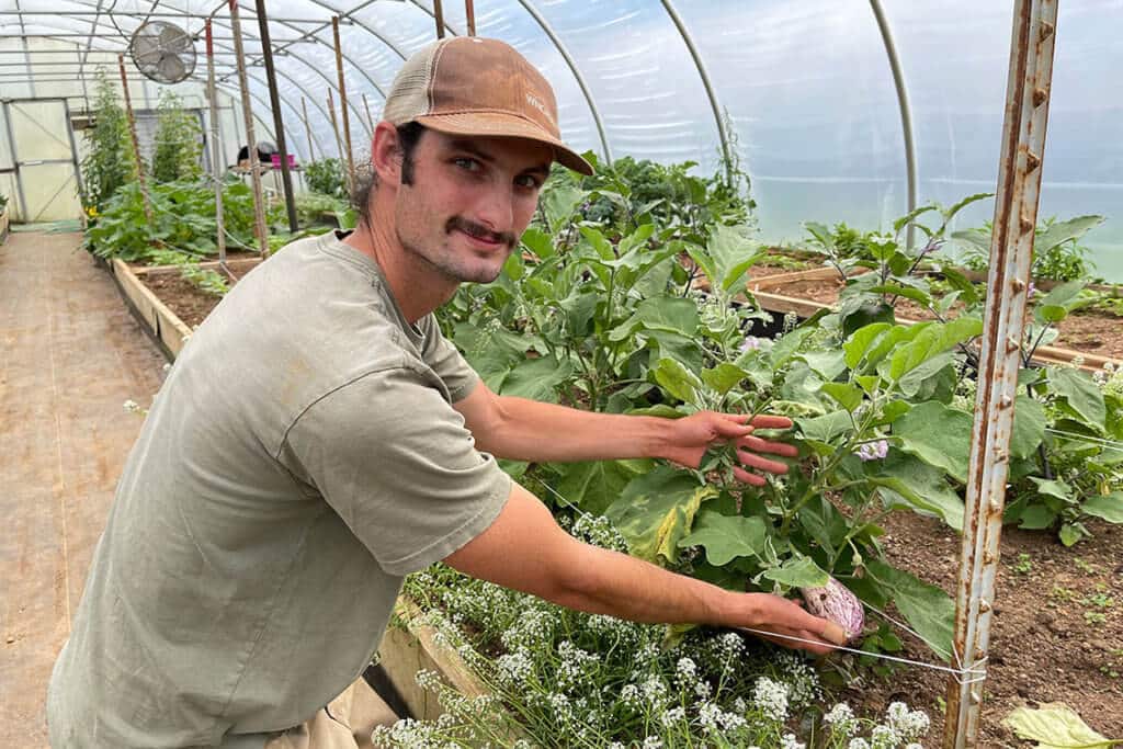 Young man with a mustache, wearing a baseball cap works in a greenhouse, turns to look at camera.