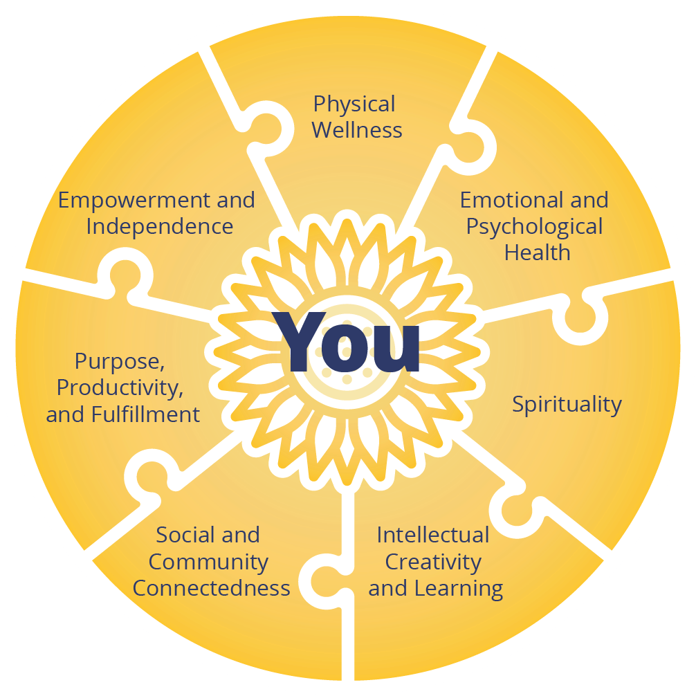 The seven domains recovery model infographic