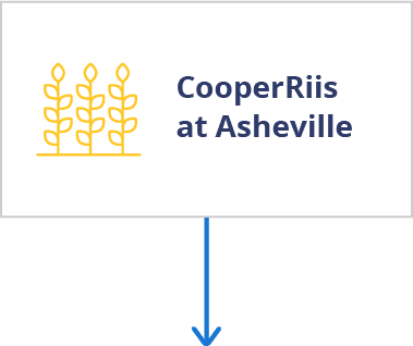 CooperRiis at Asheville Program