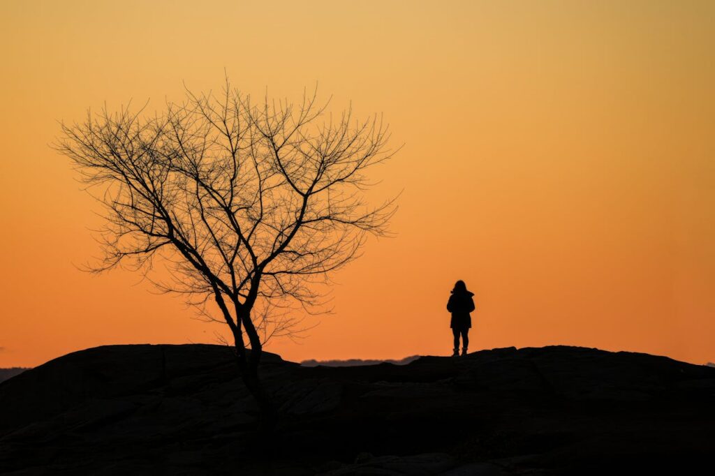 person stands alone next to a winter-bare tree, silhouetted against an orange sky